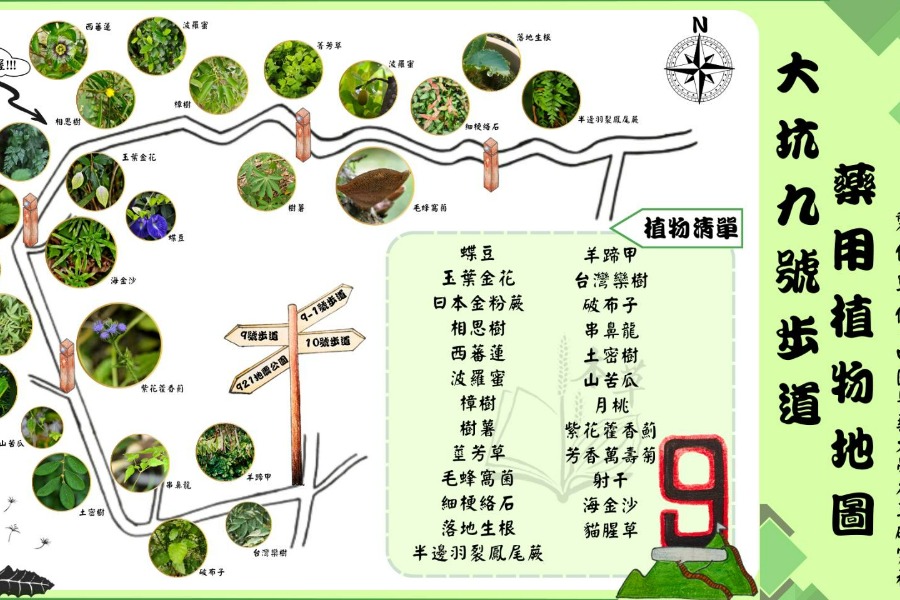 大坑九號步道藥用植物地圖